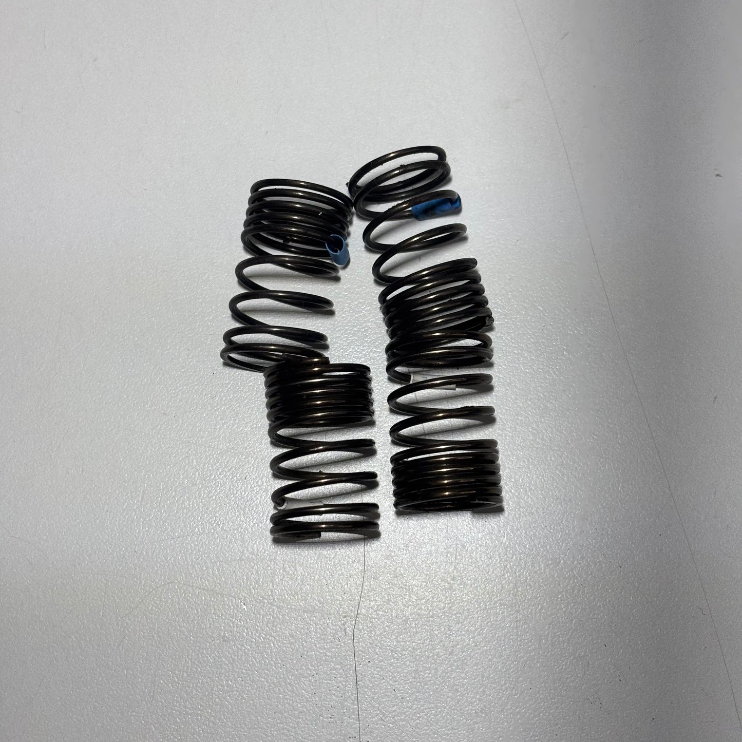 Springs 2 Pairs White Blue