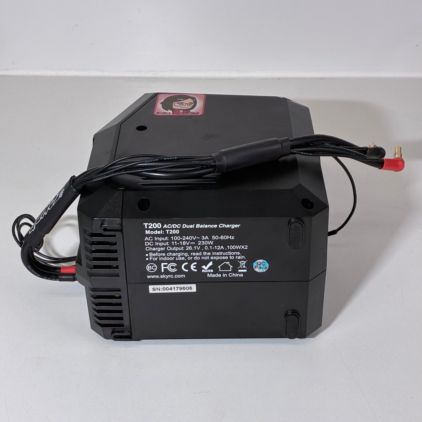 SkyRC T200 AC/DC Dual Balance Charger Model: T200